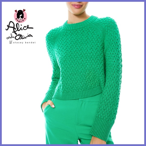 Alice + Olivia Sweaters - Alice + Olivia Leta Textured & Woven Pullover Mint Kelly Green Sweater